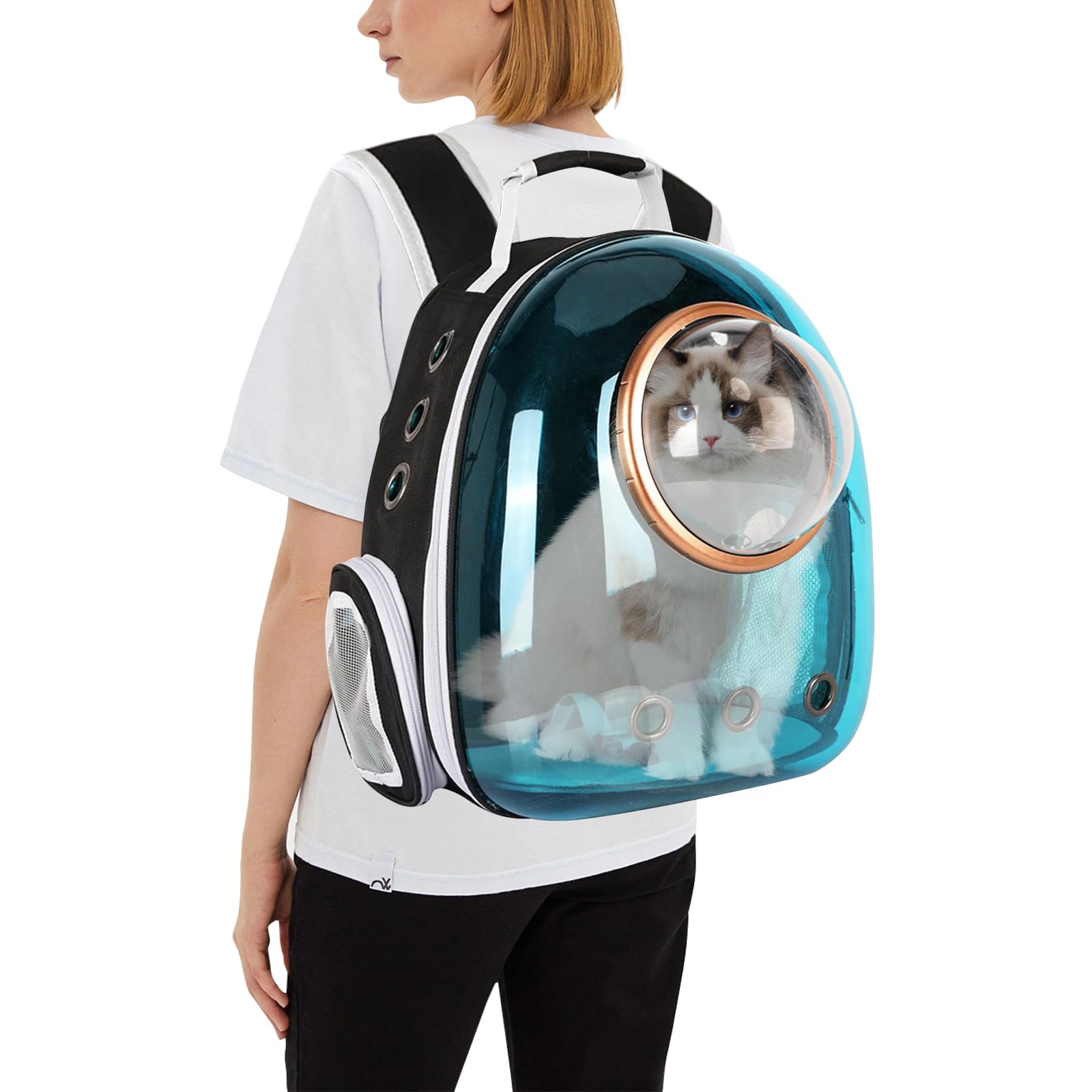 PETCUTE Sac à Dos pour Chat à Capsule Spatiale Ventilée, Sac à Dos pour Animaux de Compagnie avec Harnais Intérieur,Sac de Transport pour Petits Chiens,Convient pour Les Voyages,Bleu