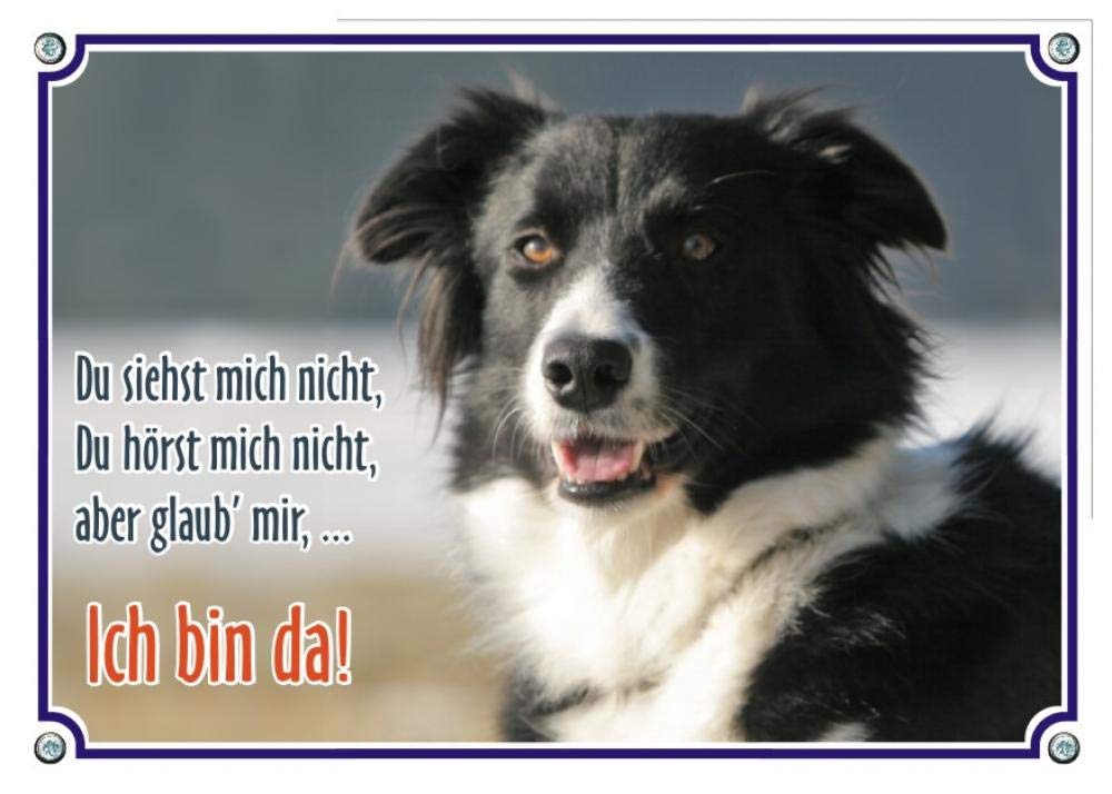 Hundeschild 'Border Terrier' Aus Metall – Premium, Rostfrei, Wetterbeständig – DIN A5