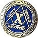 RecoveryChip 10 Year Reflex Blue Gold Plated AA Medallion Alcoholics Anonymous Sobriety Chip
