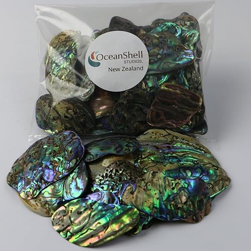 Miniatura 10 de Piezas de concha de abulón (Pua), paquete de 7.05 onzas, para manualidades, fabricación de joyas, arte de resina, incrustaciones, decoraciones para