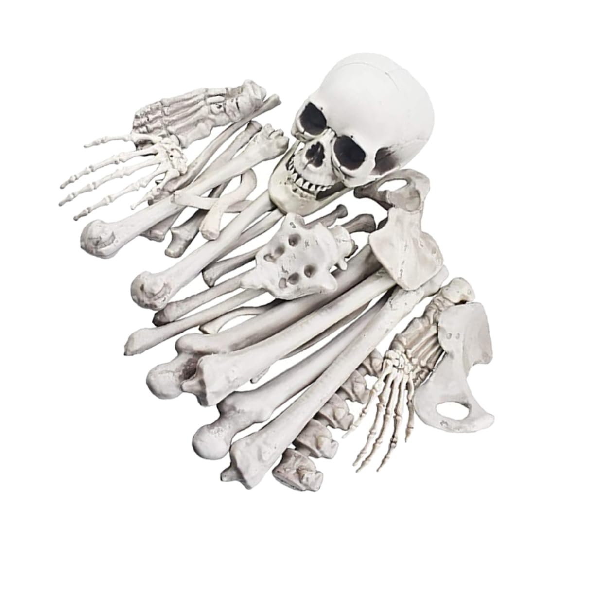 Abaodam 1 Paquete Esqueleto De Cráneo De 28 Piezas Esqueleto Falso Decoración De Esqueleto Decoración del Cráneo De Halloween Decoraciones De Plástico De Succión Abs Verderón Hueso