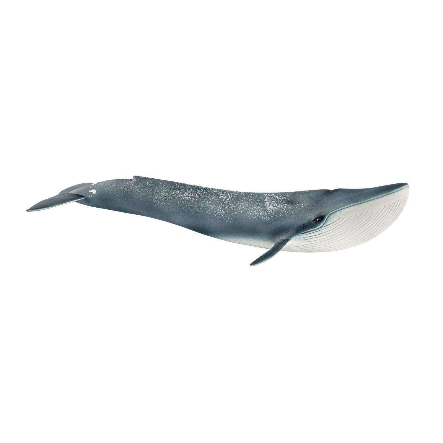 Schleich Wild Life 14806 - Balena blu