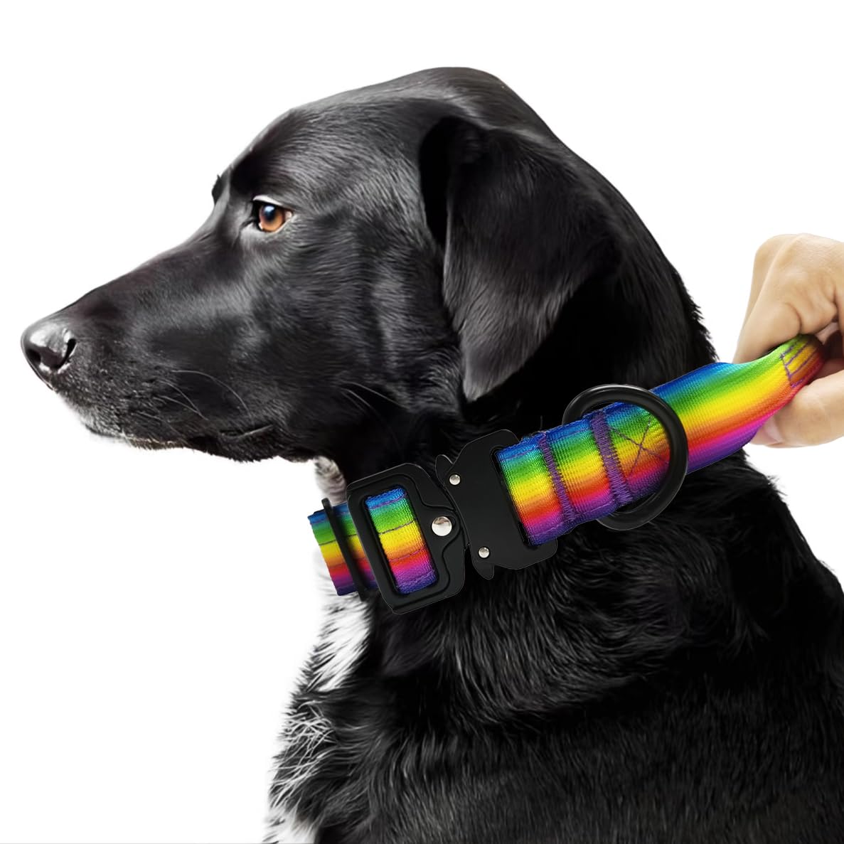 Huali Tactical Dog Collar -Premium Quality Adjustable Heavy Duty Dog Coallr- Thick and Durable Dog Collar with Quick-Release Metal Buckle 【L (3.8 cm/