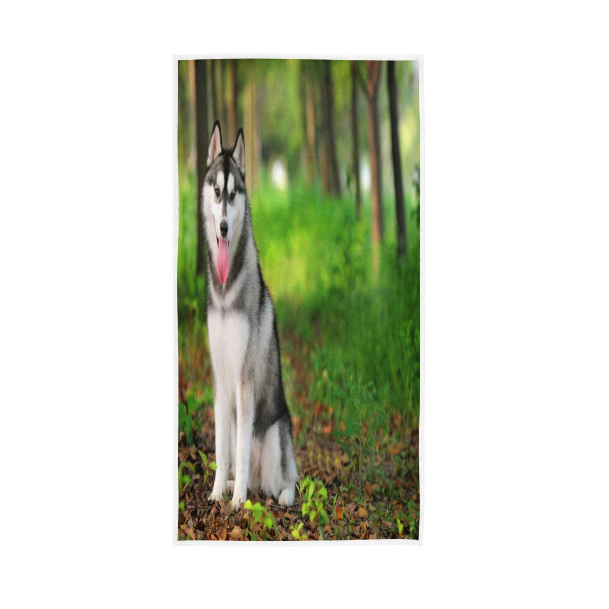 GIGIJY - Toalla de mano para perro de Alaska, muy absorbente, suave, toalla de mano para el hogar, cocina, baño, gimnasio, (1 juego de 4 unidades) para adultos, niños y niñas, 76 x 38 cm