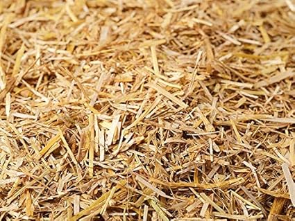 MR Paddy Straw, Rice Straw for Oyster Mushroom Cultivation, Pack of 3.25kg