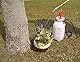 CON:P Gartensprüher 5 L Handpumpe - grün / weiß - aus hochwertigem Kunststoff - leichtgängige Pumpe - verstellbare Düse / Sprühflasche / Drucksprüher / Pumpsprühflasche / B45045