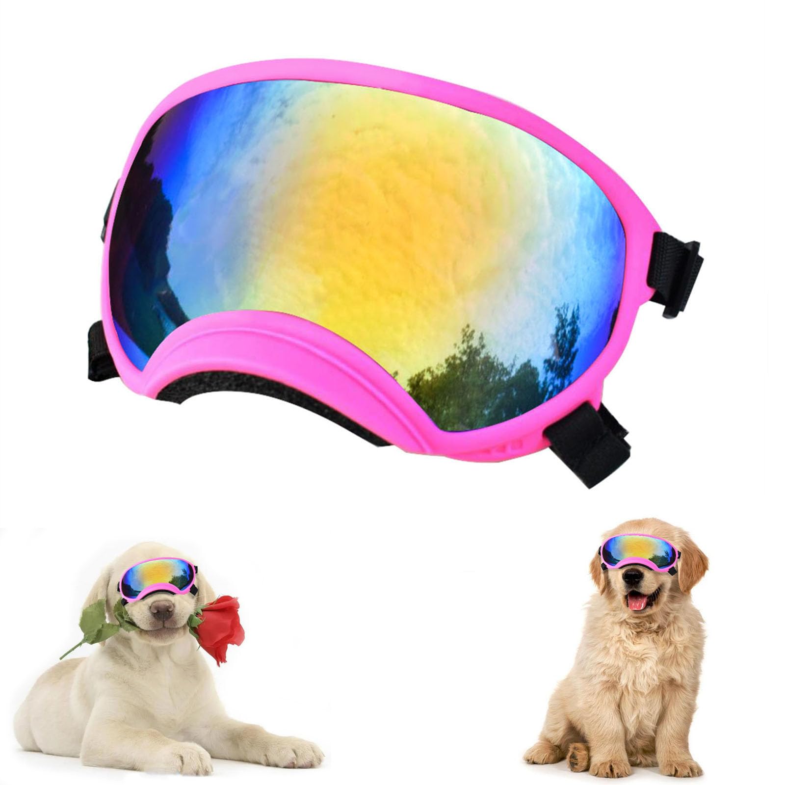Lunettes chien protection UV vent poussière avec sangle