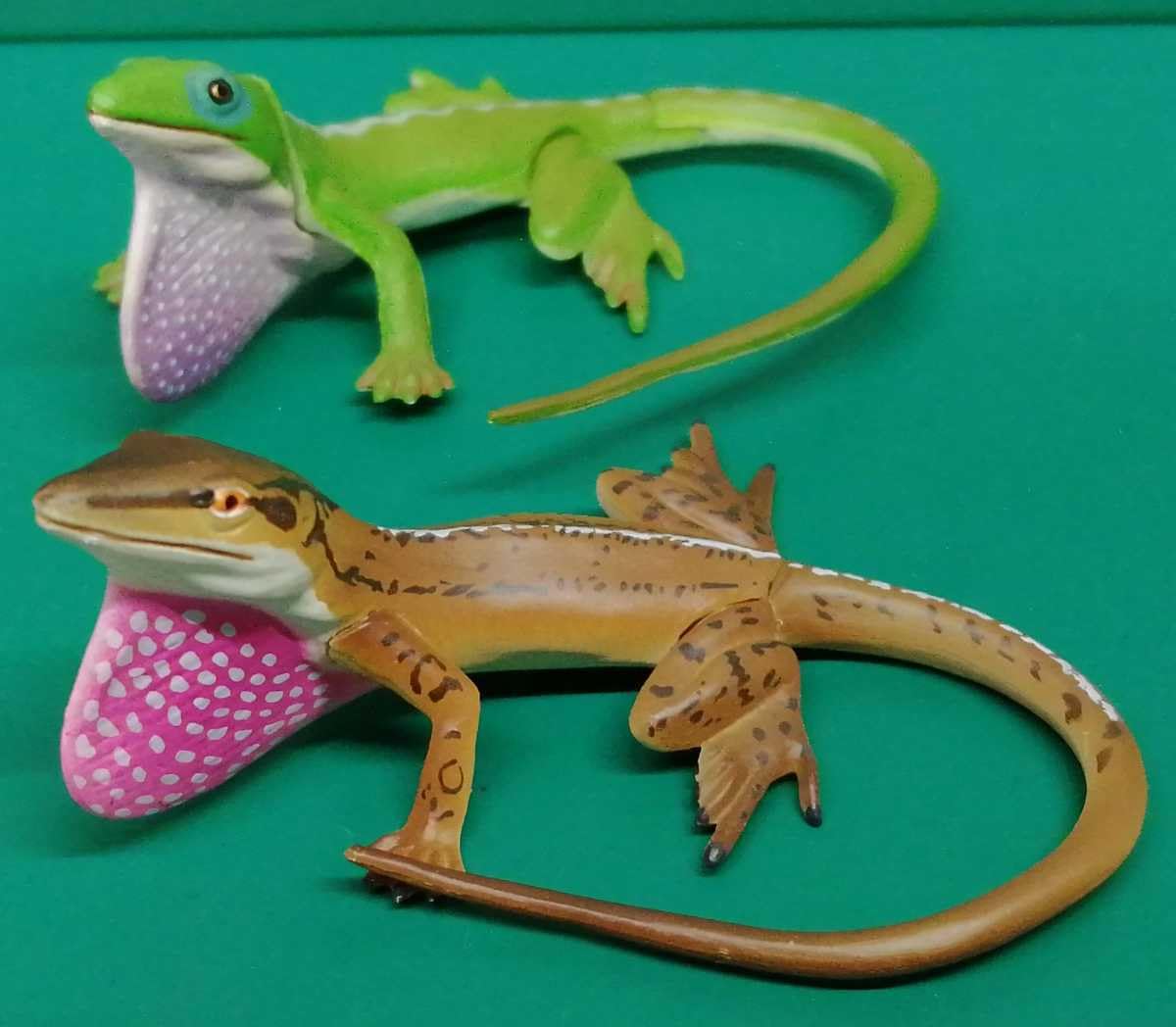 Amazon.co.jp: グリーンアノール 2種セット わがままな天然列島 版 (体