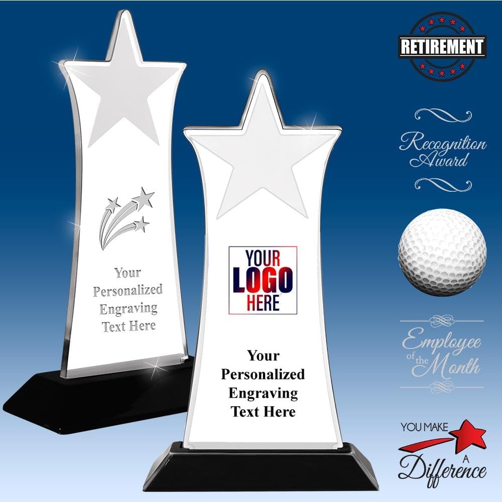 8 3/4" Customized Acrylic Trophy Award | Custom Awards with Your Text Logo | Awards and Trophies for Corporate Recognition | Engraved Employee Awards | 8.75" Meteorite Acrylic