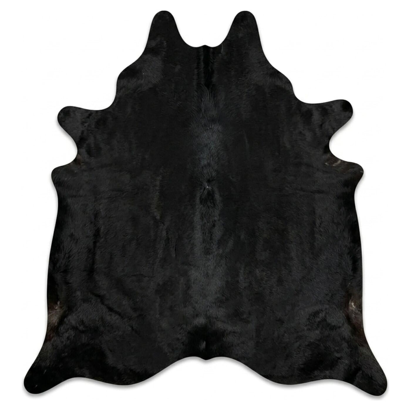 Hide & Haus Tapis en Peau de Vache véritable Noir, Format Grand (220 x 200 cm), avec 4 Dessous de Verre en Peau de Vache