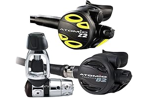 B2 Regulator with Z2 Octopus (Yoke)