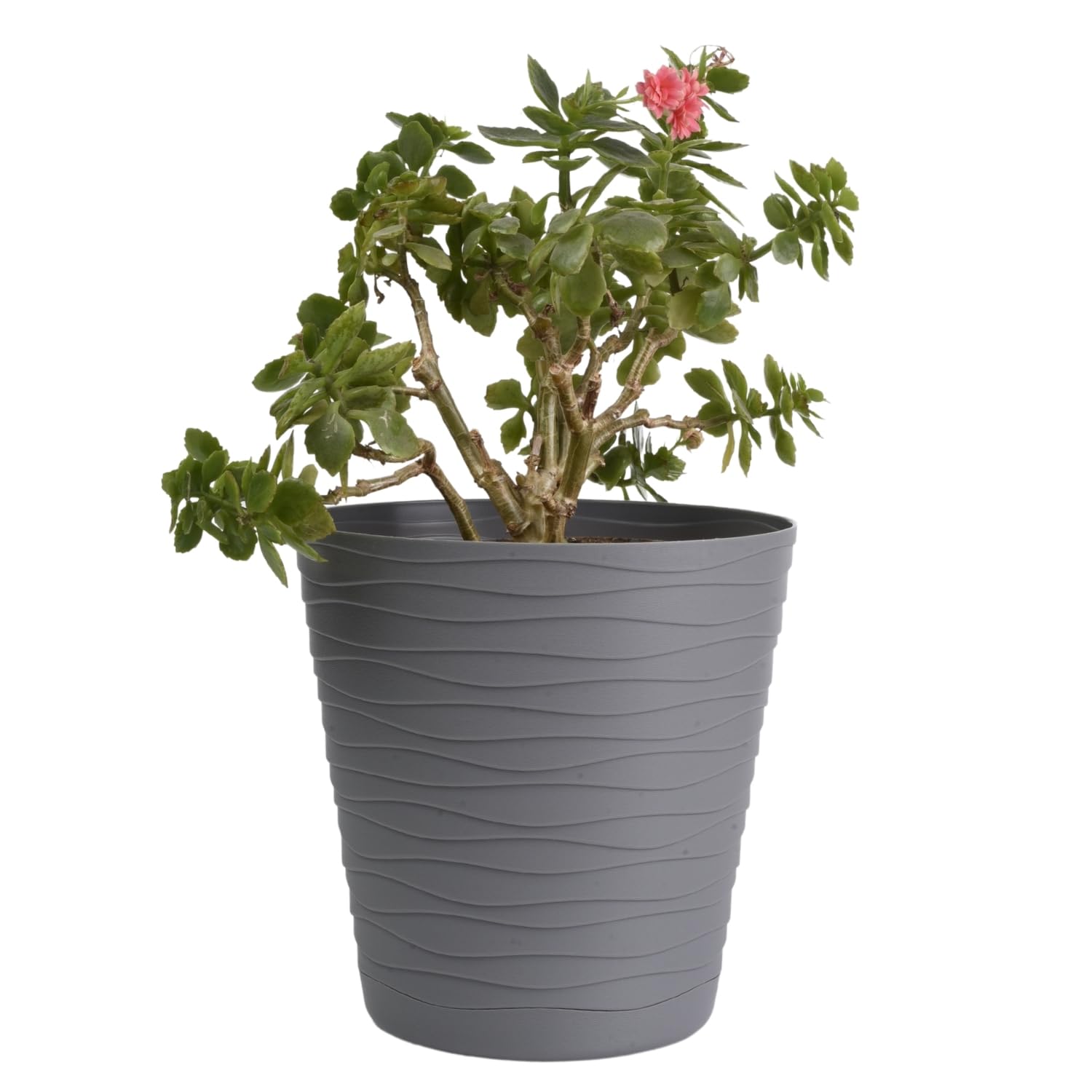 B2C Flower Pots 6 Colours 8 sizes Matt Plastic Plant Pots Planter + Saucer Tray Deco (Grey, 19 cm)