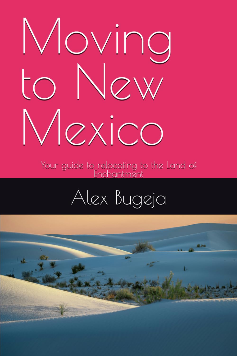 Moving to New Mexico: Your guide to relocating to the Land of Enchantment: 20 (USA Moving Guides)