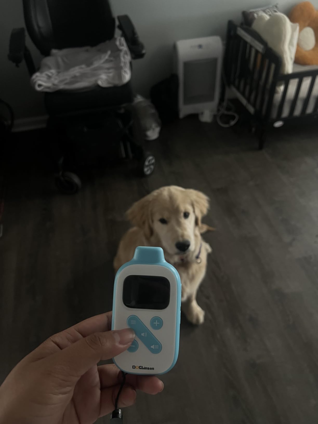 DOGLinsen No Shock Training Collar