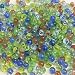 BeautyMood 300 pcs Player Marbles in Bulk Glass Marbles for Children( Random Color )