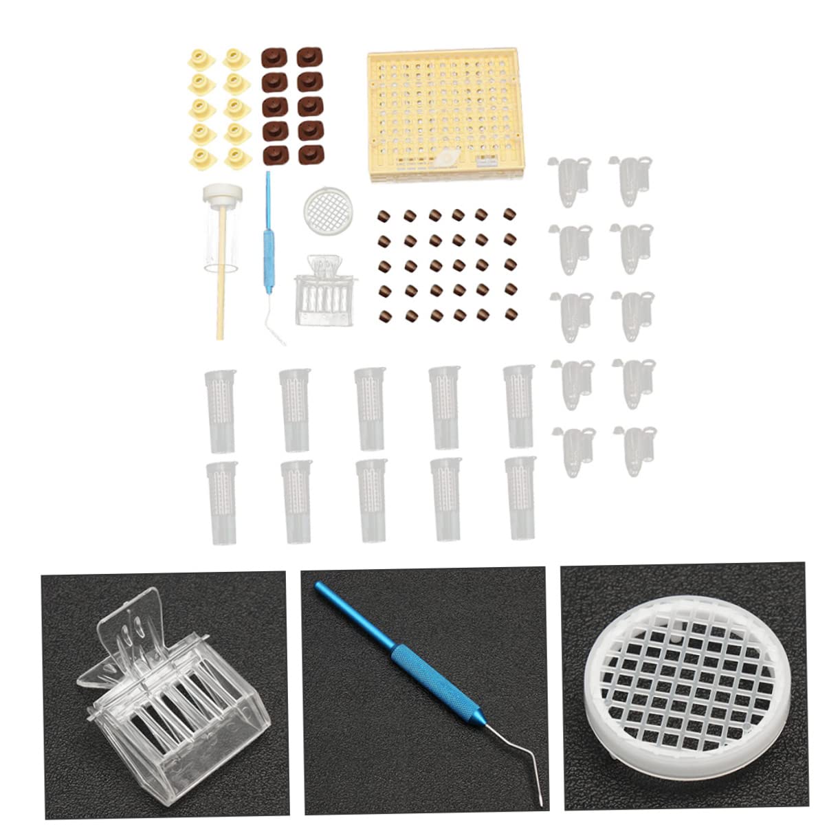 Incubateur Pour Système Délevage De Reines Kit De Coupelles Pour Cellules Dabeilles Incubateur Mobile Pour Système Délevage De Reines