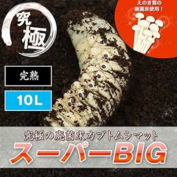Amazon | 【販売 むしや本舗】超高カロリー！ 廃菌床 完熟