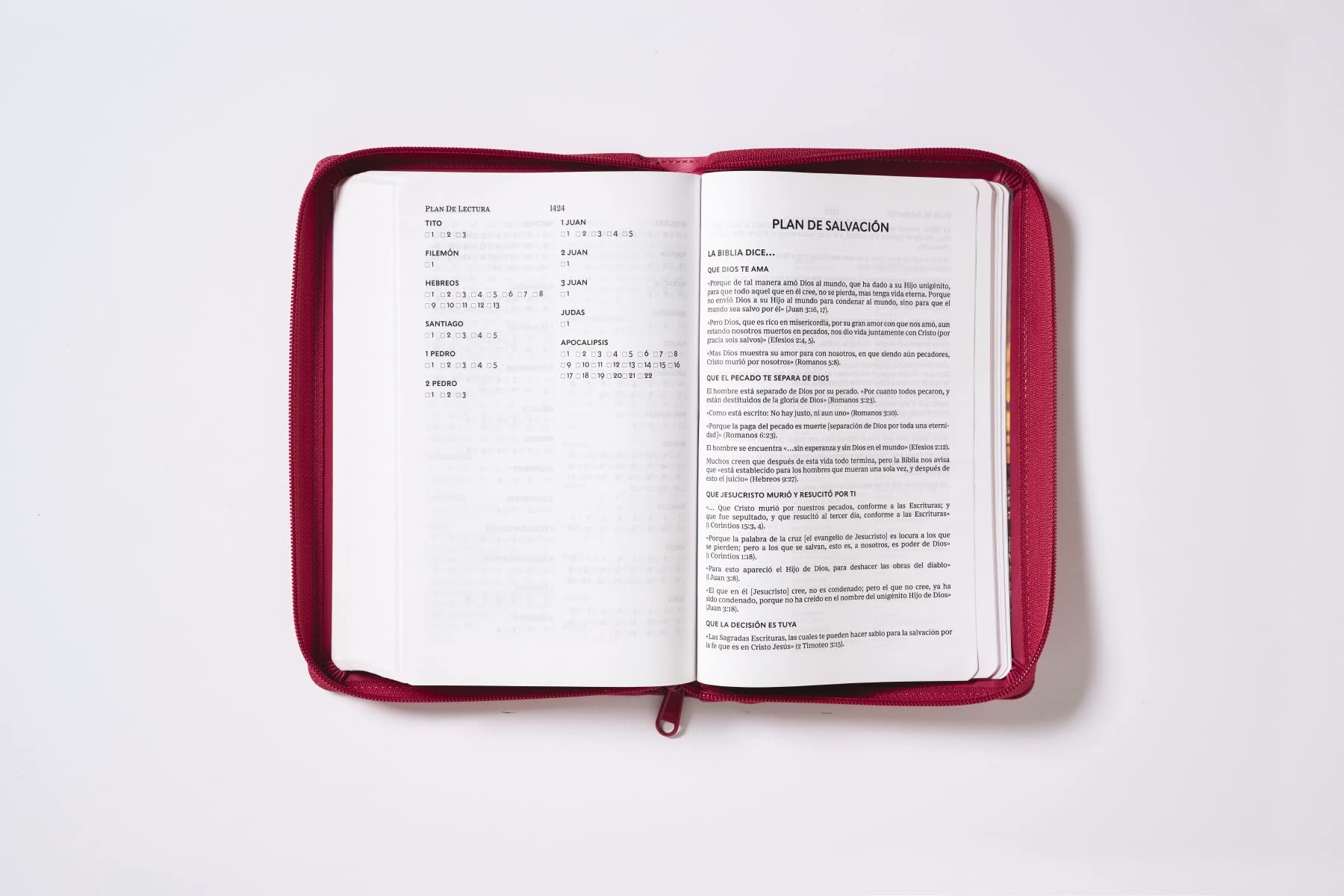 RVR60, Santa Biblia, Tierra Santa, Letra grande, Leathersoft, Fucsia, con Cierre, Palabras de Jesús en Rojo, Comfort Print (Spanish Edition)