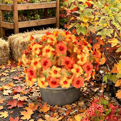 Image of Artificial Fall Flowers for Outdoors, Faux Petunias Autumn Decoration, Fake Flowers Plants UV Resistant Look Real Silk Flowers for Outside Planter Front Door Porch Patio Yard (6, Orange-Yellow)