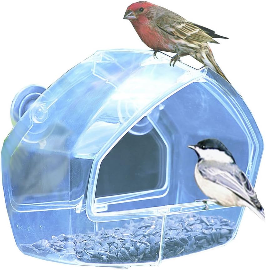 Perky-Pet 348 Clear Outdoor Window Bird Feeder with Strong Suction Cups – 1 Cup Seed Capacity