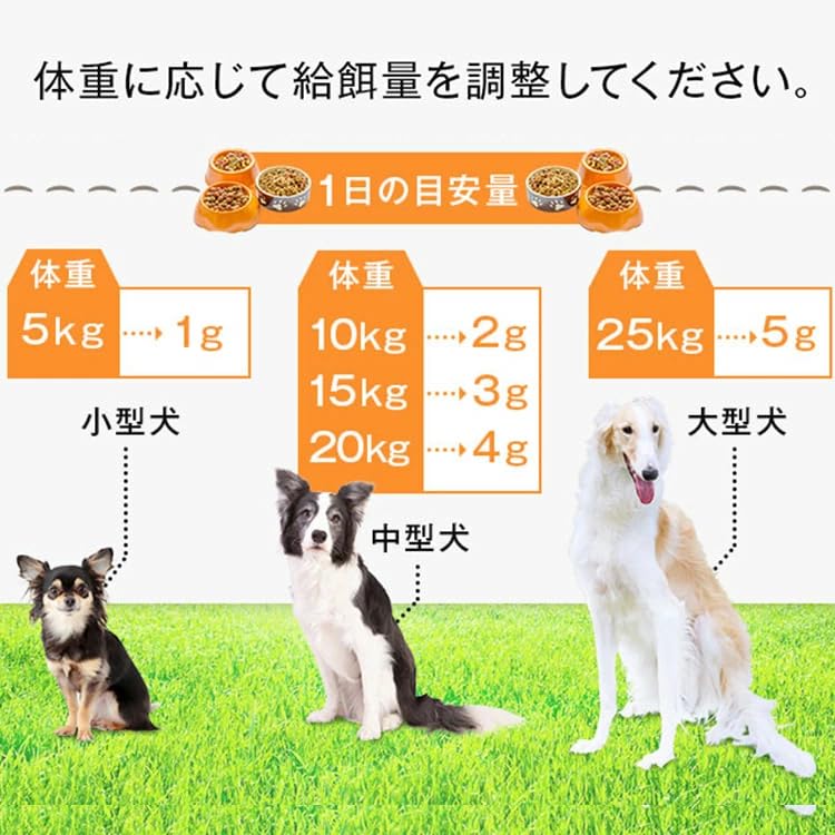 Amazon.co.jp: わんちゃんライフ カームワン 犬 サプリ GABA テアニン