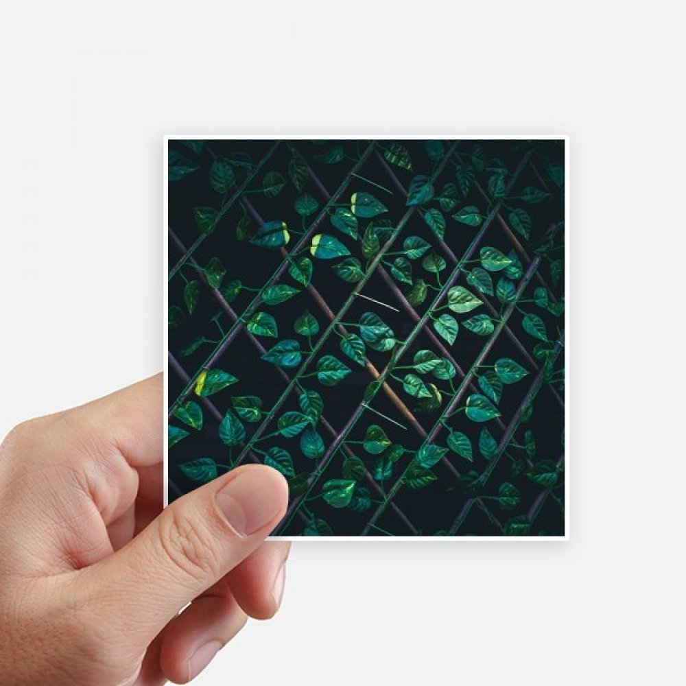 Autocollant carré 10CM nature de feuilles vertes pour déco ordinateur et mur
