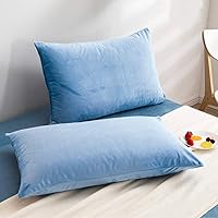 Vista 116 de NTBAY 1 paquete de funda de almohada corporal de terciopelo con cremallera, súper suave y acogedora, de franela mullida de lujo de 20 x 54 pulgadas