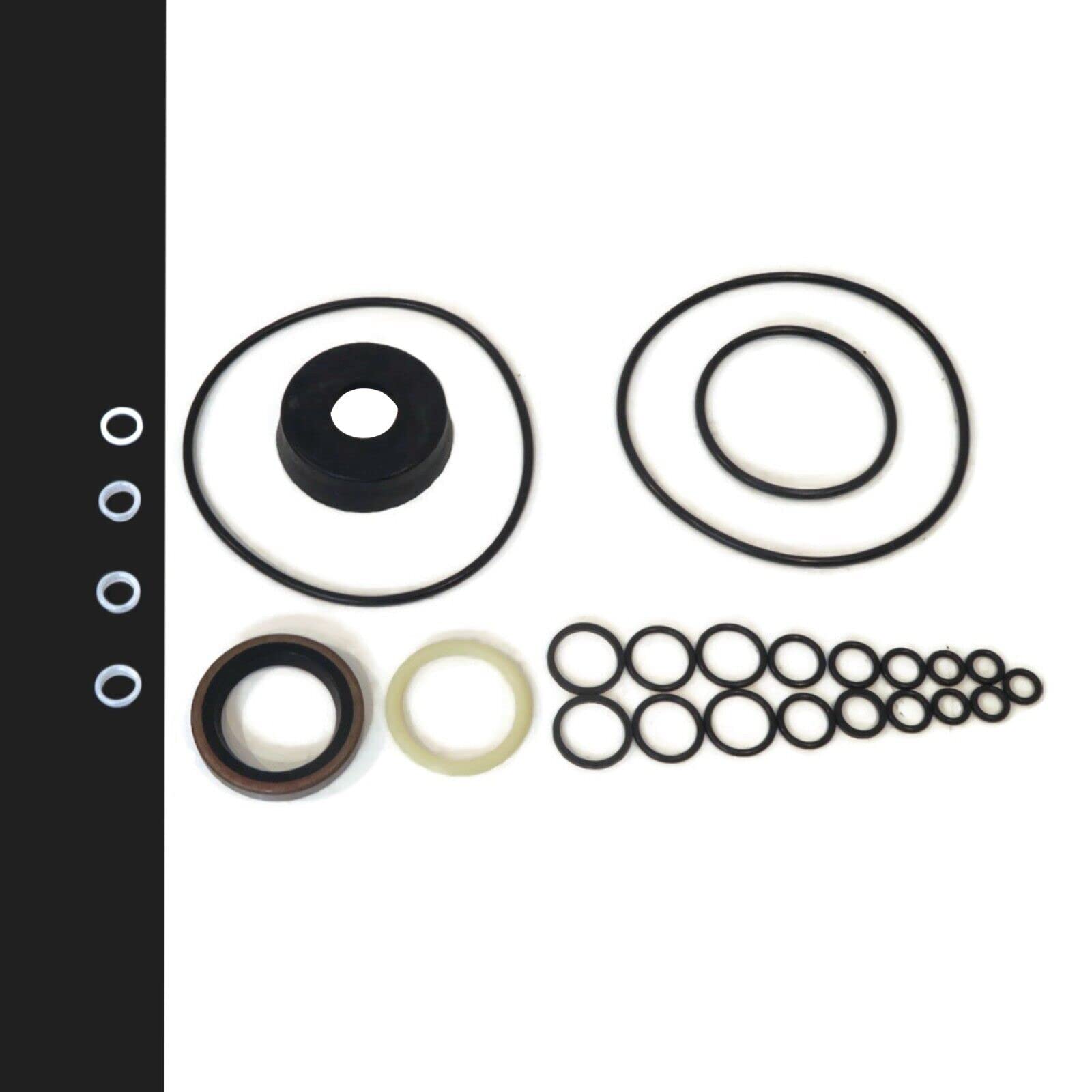 The ROP Shop Snowplow Complete Pump Master Seal Kit for Diamond 15254, M15254, 15979