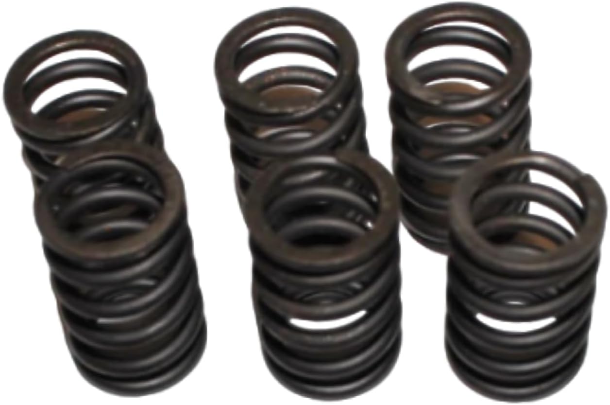 6PCS Clutch Spring 92145-0440 Fits for Kawasaki ZG1400 Concours 2008-2010 ZG1400 Concours ABS 2008-2022