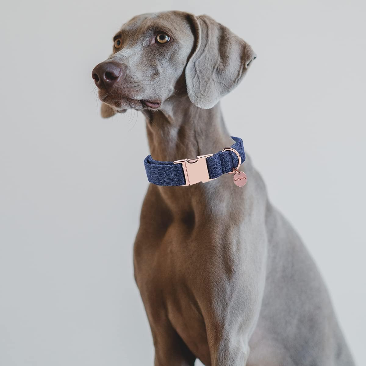 DOGWONG Cotton Dog Collar and Leash Blue Pet Collar Soft Durable Puppy Collar for Small Medium Large Dogs