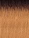 Outre PENNY - Quick Weave Synthetic Hair Half Wig (DR30)