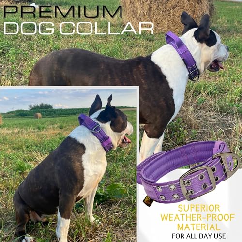 ADITYNA Heavy Duty Dog Collar with Handle - Reflective Purple Dog Collar for Extra Large Dogs - Tactical Dog Collar and Tactical Dog Leash - Thumbnail 6