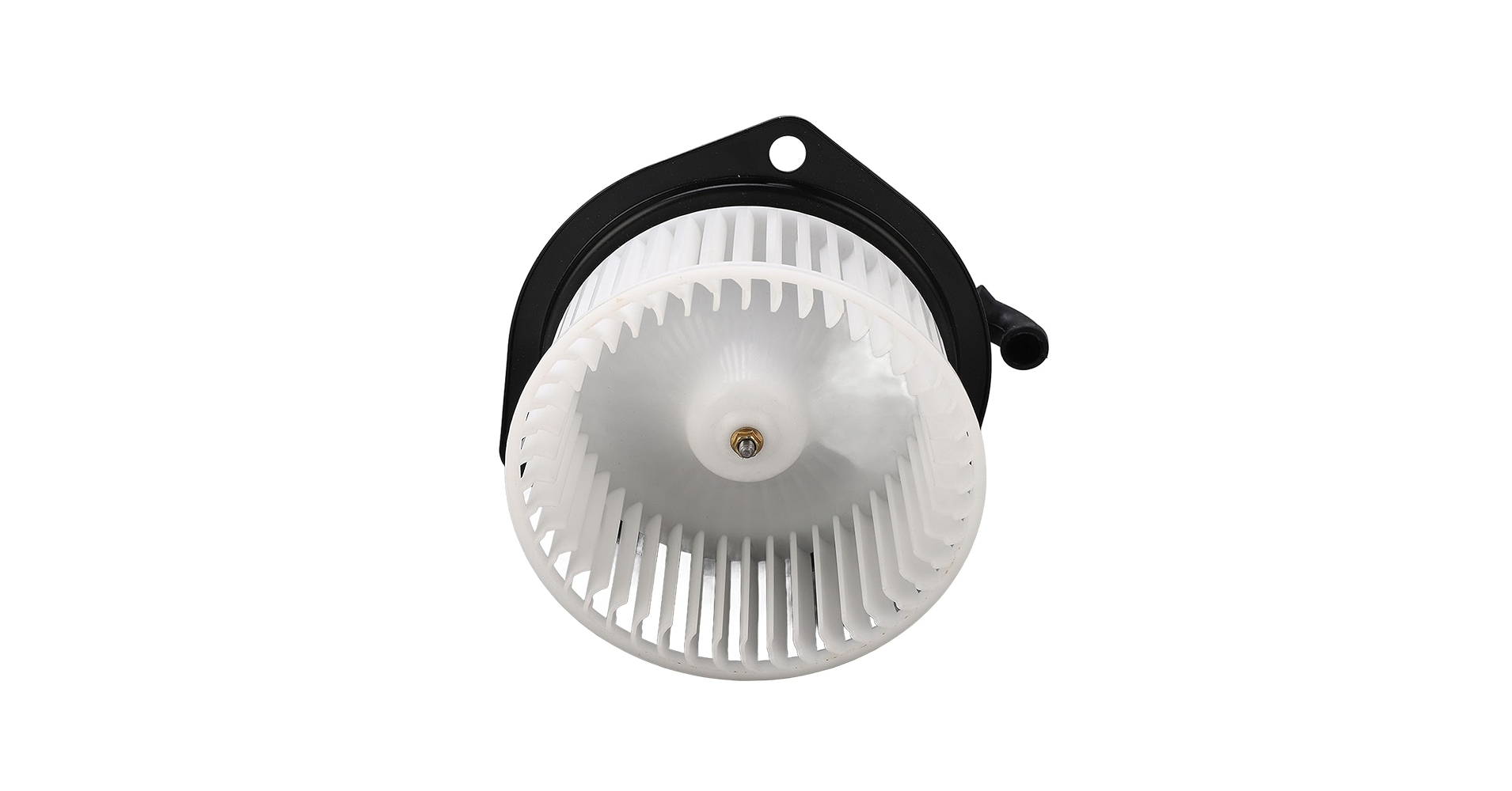 61IbnEfkc-L.jpg_BO30,255,255,