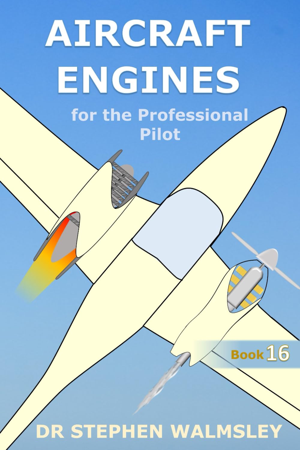 Aircraft Engines for the Professional Pilot (Aviation Books Professional Pilot Series)