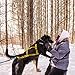 Hundegeschirr zum Ziehen, verstellbares Hundegeschirr für Schlittenübungen mit reflektierenden Streifen, Haustierschlitten, Radfahren, Skifahren, Laufen, Canicross, Rollen, für durchschnittliche Hunde
