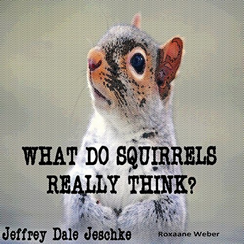 What Do Squirrels Really Think? Squirrel Jokes, Facts & Questions