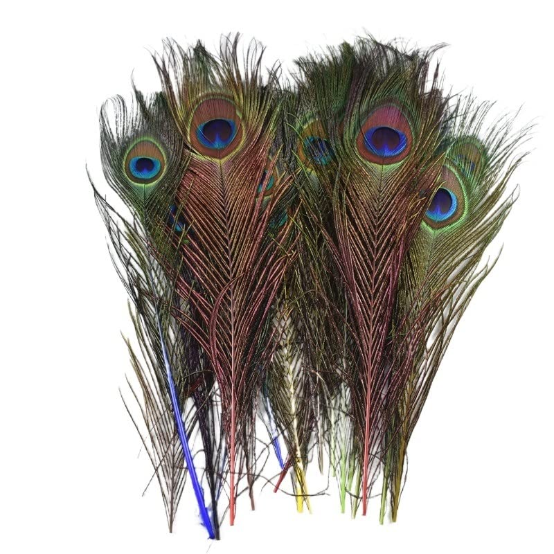 Pióra z pióra pawia, Opakowanie 10 piór pawich 25-30 cm w kolorze naturalnym