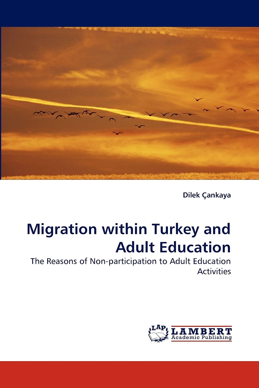 Migration Within Turkey and Adult Education