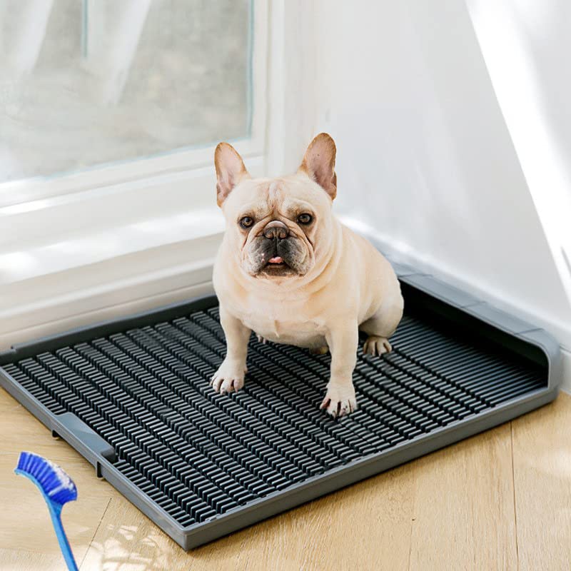 Amazon | 接続可能な犬用トイレホームトレーニングトイレ用トイレ