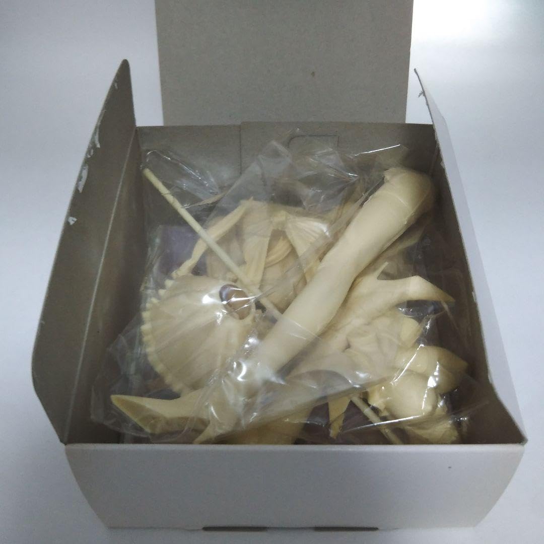 Amazon.co.jp: 菜々子解体診書 レジンキャストキット : おもちゃ