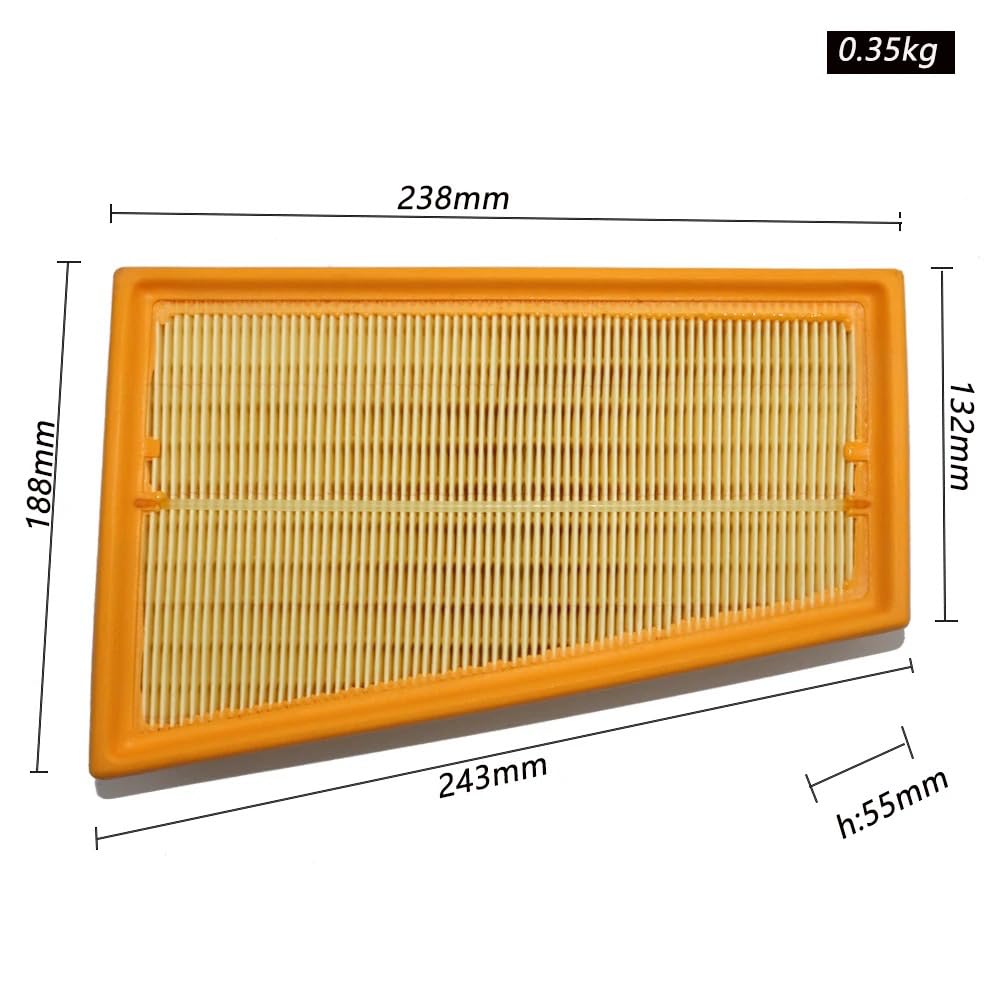 Filtr Powietrza Kabinowego dla Renault Scenic II Megane II CC II RS III, Filtr powietrza silnika samochodu 8200371661