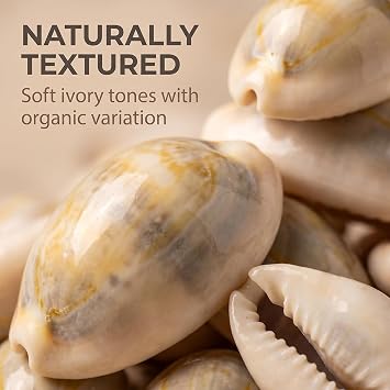 100 Pcs White and Lvory Natural Cowrie Shells Beads, Oval Beach Seashells African Shells for Hair Jewelry Making DIY Craft Beading Supplies 