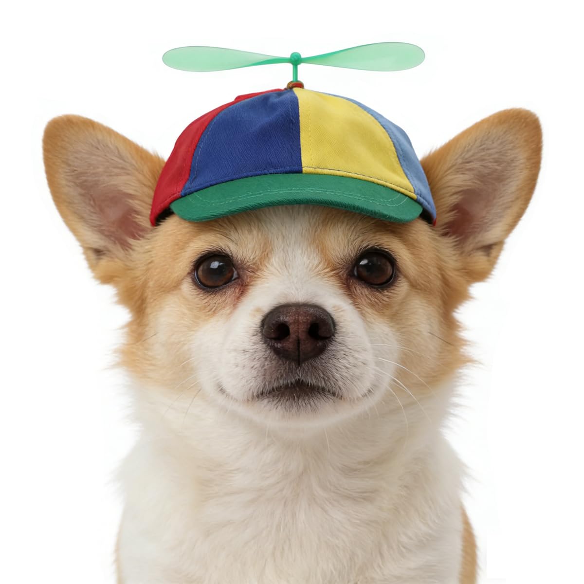 Pet Propeller Hat Cat Dog Colorful Pet Sun Protection Adjustable Baseball Cap Rainbow Pet Spinner Hat Funny Puppy Kitty Baseball Cap (Green)