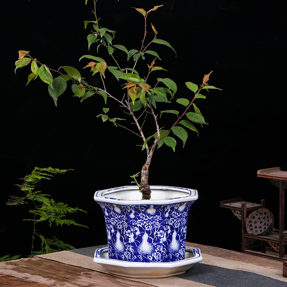 DFGHNBVC Chinoiserie Blue And White Porcelain Flowerpot Jingdezhen Ceramic Flowerpot With Tray Breathable Flower Green Plant Potted Plant Collection Ornament,H-24cm