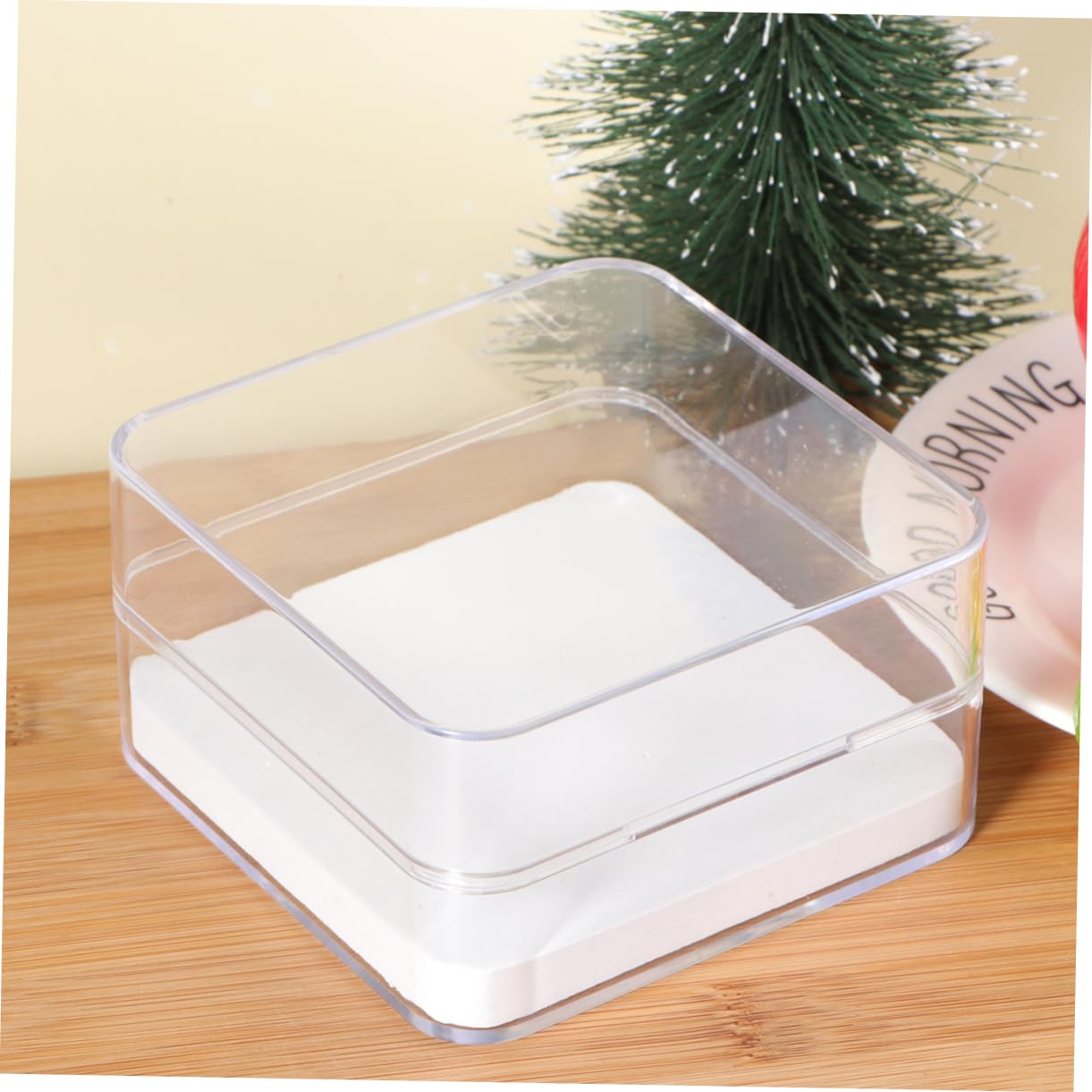 SOLUSTRE Cage À Insectes Transparente Pour Boîte À Spécimens 2 Pièces