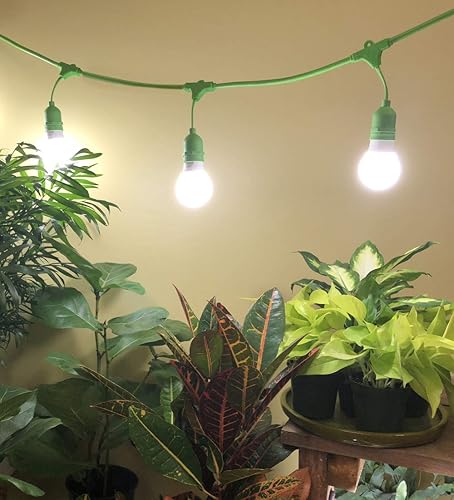Miniatura 3 de Miracle LED Under The Canopy - Kit de luces de cultivo para interiores, doble rendimiento de plantas, luz diurna absoluta, espectro completo,