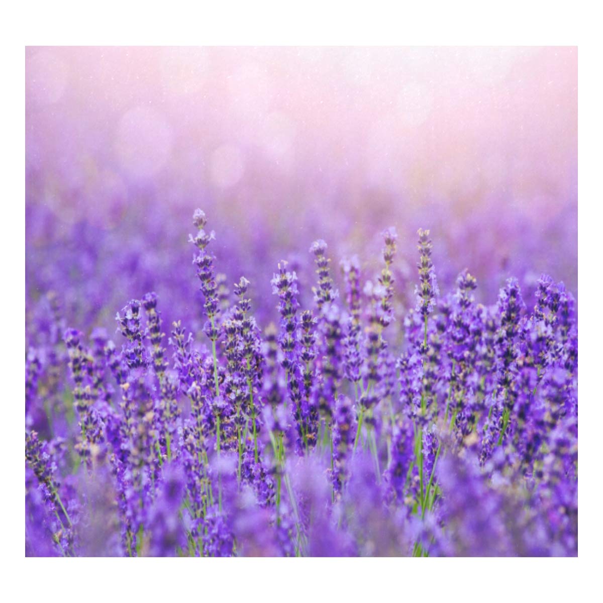 Taza de viaje de acero inoxidable con aislamiento al vacío, doble pared, a prueba de fugas, color violeta y lavanda, personalizable con estampado de piel auténtica, 500 ml