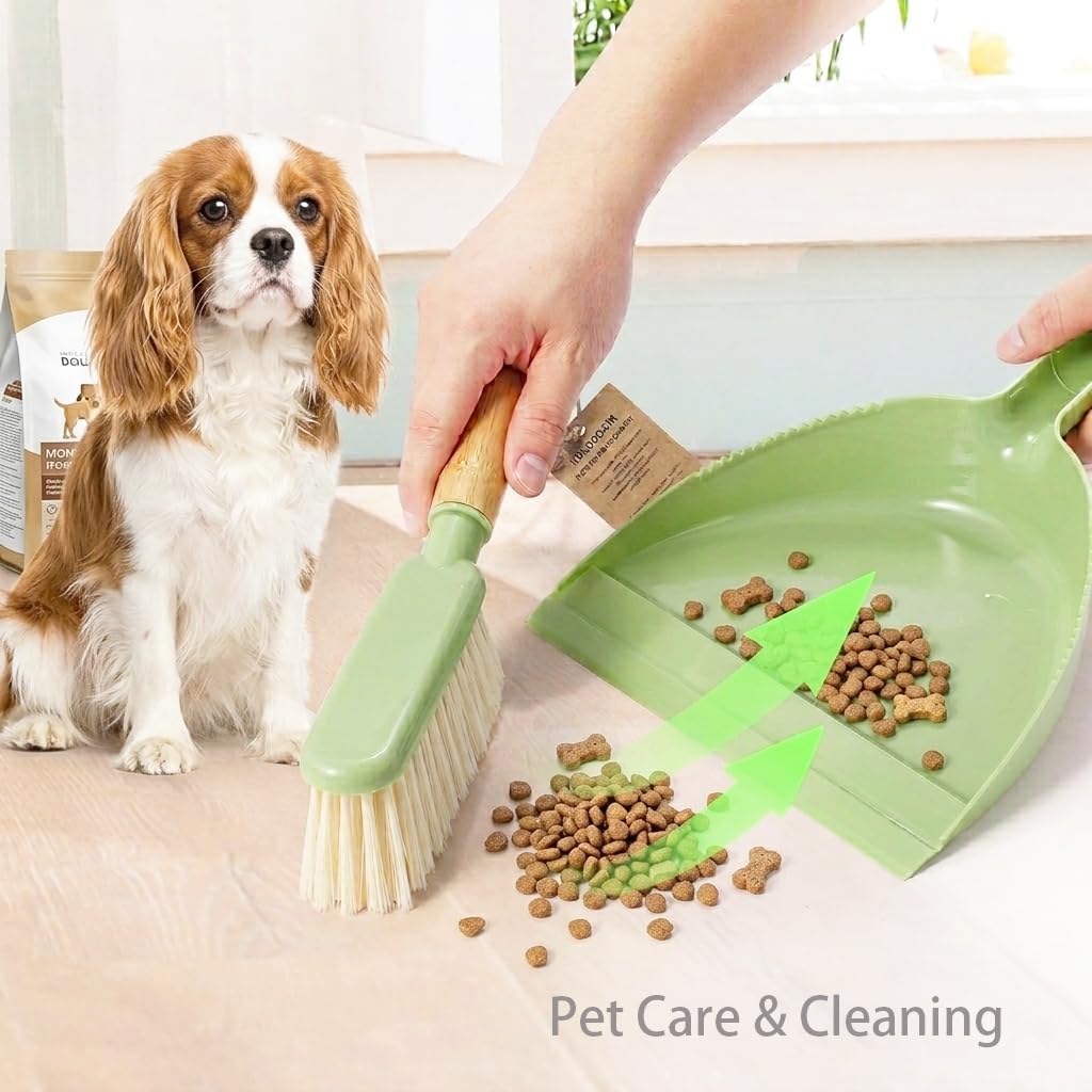 Dust Pan and Brush Set - Small Dustpan and Brush Set, Handheld Broom and Dustpan Set, Brush and Dust Pan Set for Car, Pet Care, Office, 14 x 8.7 inch, Green