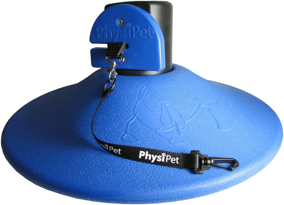 PlayPaws By PhysiPet Cat And Dog Pet Exercise & Entertainment Toy, Large, Blue