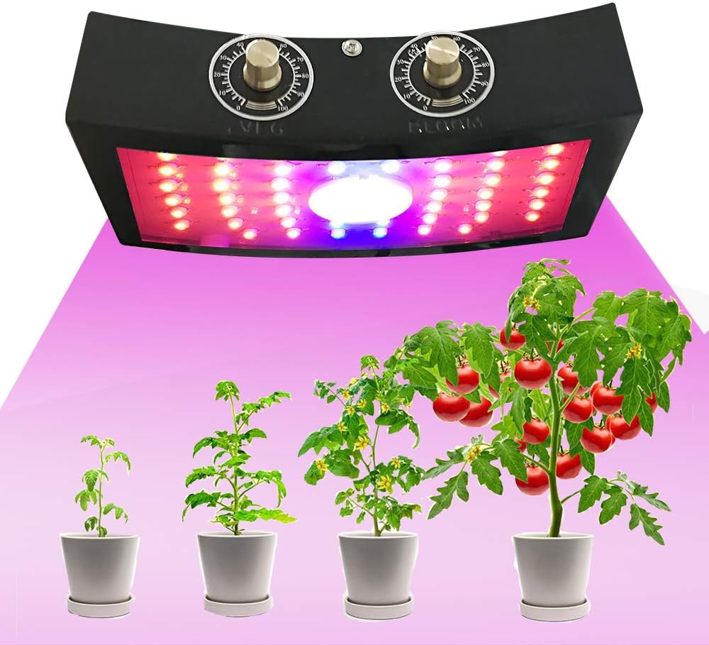 Best Grow Lights for Tomatoes and Peppers Reviews in 2022